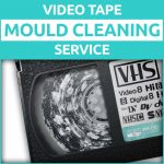 Read more about the article Mould